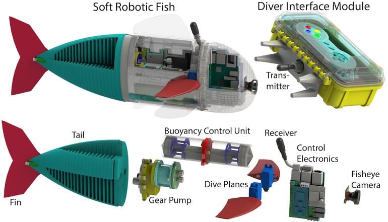 MIT CSAIL's SoFi Underwater Drone Fish