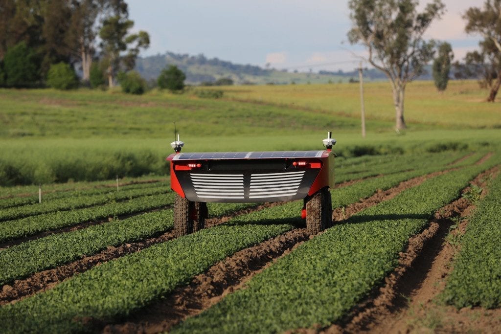 autonomous vegetable harvesting robot, Ladybird