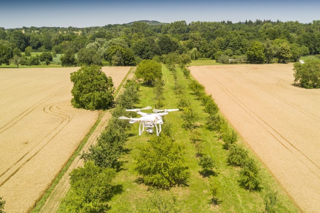 Audi Environmental Foundation supports drone flights to measure and conserve mixed orchards