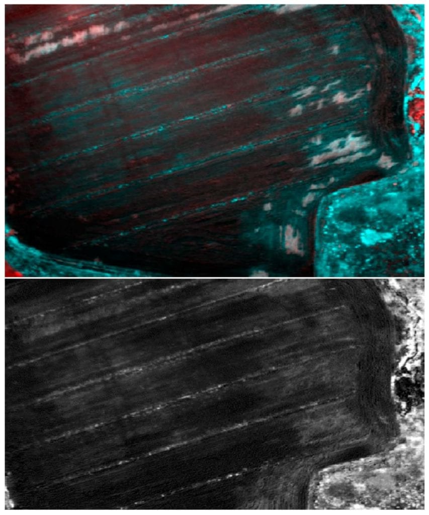 Archaeological structures not related to Roman houses (Area E in Figure 2): (1) False color composition of PCA of Tetracam, bands 123 with an equalize enhancement of the histogram; (2) NDVI with band 920 and an equalize enhancement of the histogram.