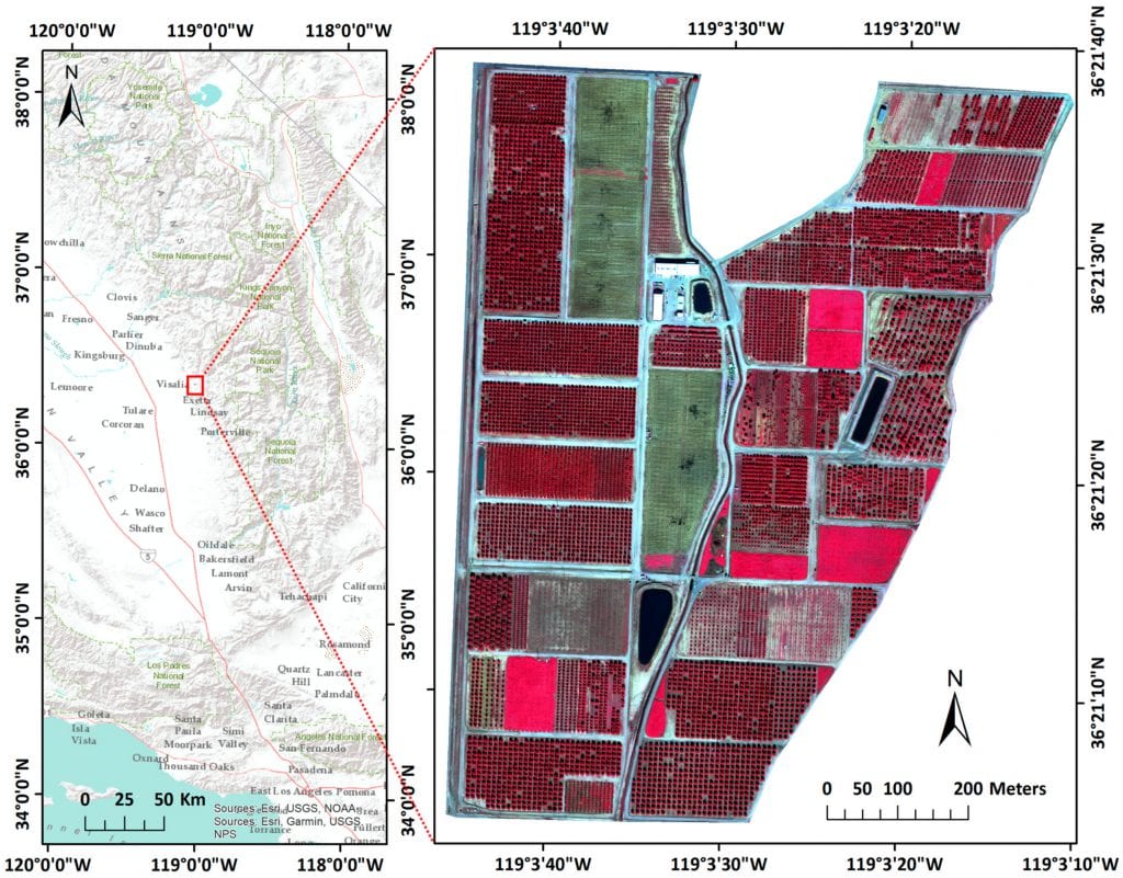 Study area location near Visalia, California (left) and a false color image as acquired by the UAV with a spatial resolution of 0.12 m and covering 64.6 ha (right).