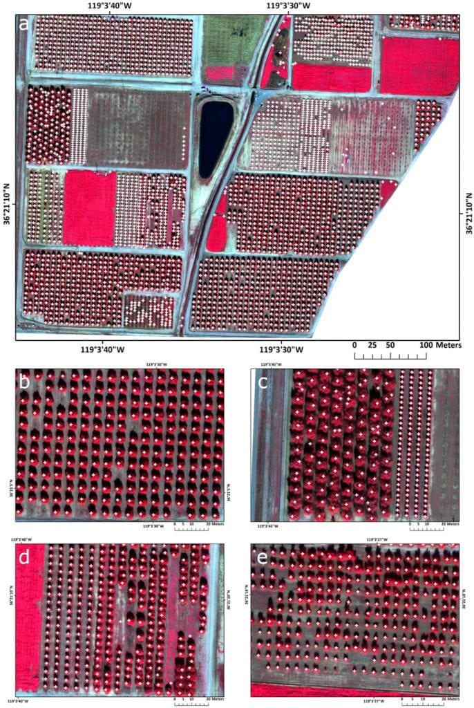 Final tree detection from the test area with white crosses indicating the location of trees: (a) the southern portion of LREC; (b) medium size trees correctly classified; (c) large canopy trees with reduced effect of multiple crown detection, after the object-based refinement; (d) similar sized trees were correctly classified; and (e) heterogeneous tree canopies sizes were correctly classified