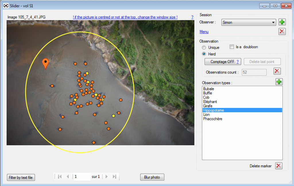 Interface of WiMUAS used to review the photos and detect animals. Orange points mark definite observations and yellow points possible identification. The yellow circle represents the area within which observers had to make their observations. The photo in this example was taken at the height of 41 m at 08:01. The environmental parameters recorded for this picture are cloud cover 1, sun reflection 0 and a wind speed of 3 m.s-1.