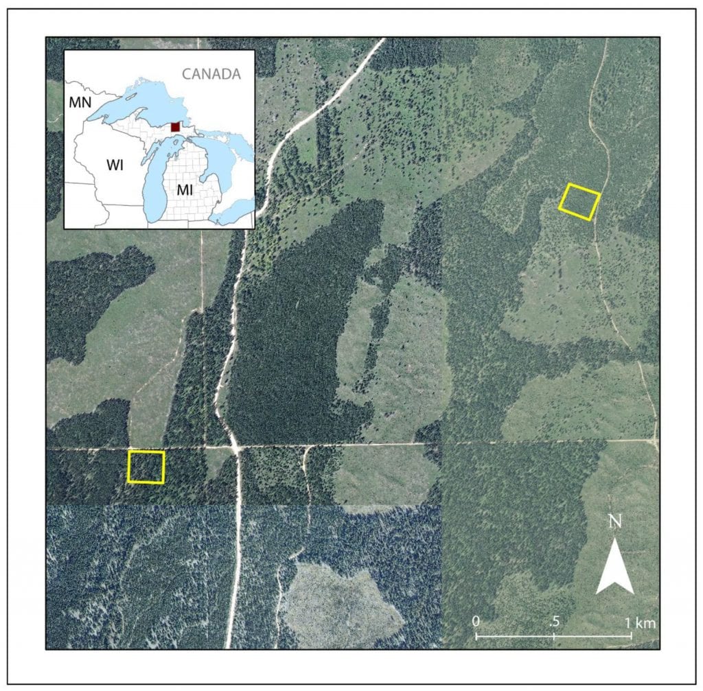 Duck Lake study area in UP of Michigan, USA. The NAIP image was acquired in 2008, prior to the fire. Plot A is on the eastern edge while Plot B is in the southwestern corner of this image.