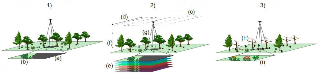 Identification and monitoring of understorey vegetation: challenges and suggestions to overcome them. (1) illustrates key challenges involved with identification and monitoring of understorey vegetation, which can be subdivided on (a) overstorey and its shadow blocking view of understorey species and (b) intrinsic challenges of understorey identification as related to scale (smaller species) and spatial and spectral overlap of understorey species. (2) Shows how flight parameters and technical specifications can be manipulated to help overcome the challenges of understorey monitoring. To overcome obscuration from the overstorey, users can (c) reduce the line spacing to increase side overlap, and (d) reduce speed to increase the forward overlap. To help overcome the spectral overlap of understorey species, (e) sensor spectral range can be increased, such as with the use of multispectral and hyperspectral sensors. To assist with the detection of small understorey plants, operators can (f) fly lower and (g) change the camera specifications by increasing sensor resolution and increasing the focal length of the lens used. (3) Shows how UAS flights can be timed to overcome overstorey obscuration and spectral overlap in the understorey. Overstorey obscuration can be overcome by (g) targeting “leaf off” periods if working in deciduous environments. Spectral overlap can be overcome by targeting understorey phenological events such as (h) senescence and (i) flowering.