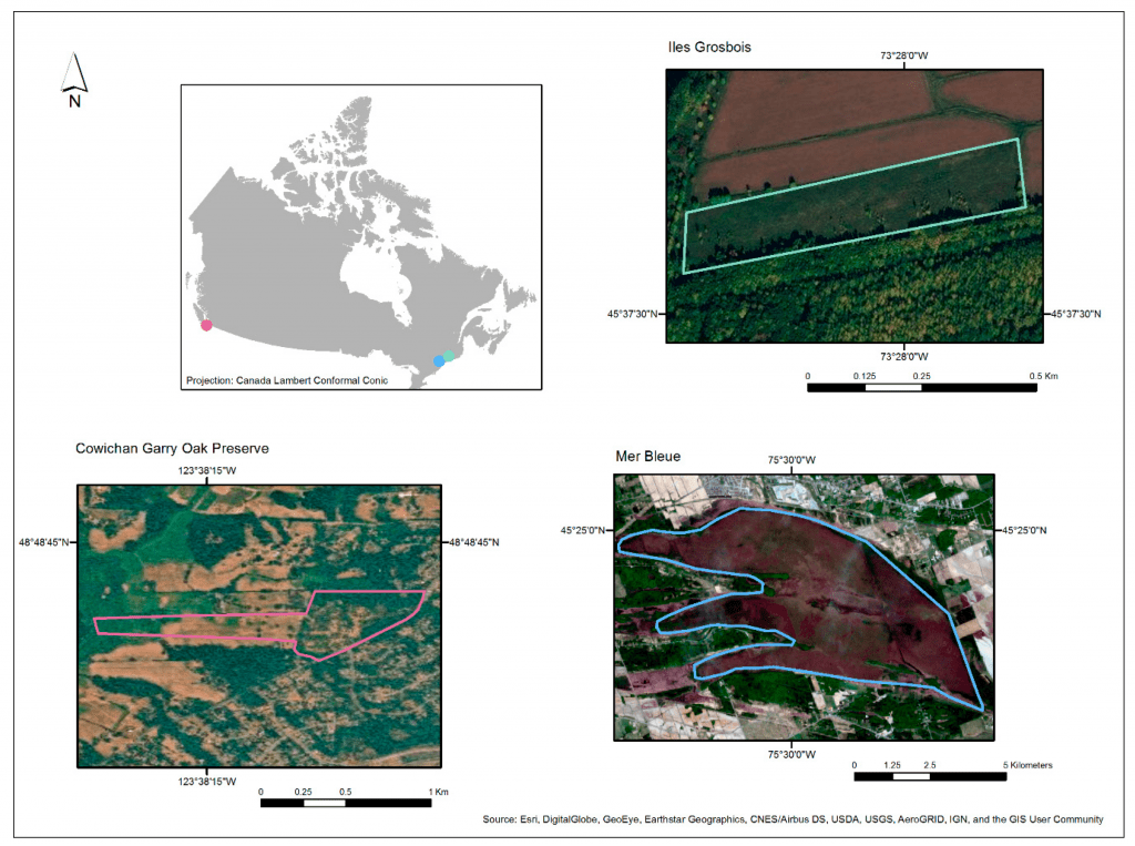 Locations and aerial views of sites selected for testing and data acquisition with the UAV-μCASI system.