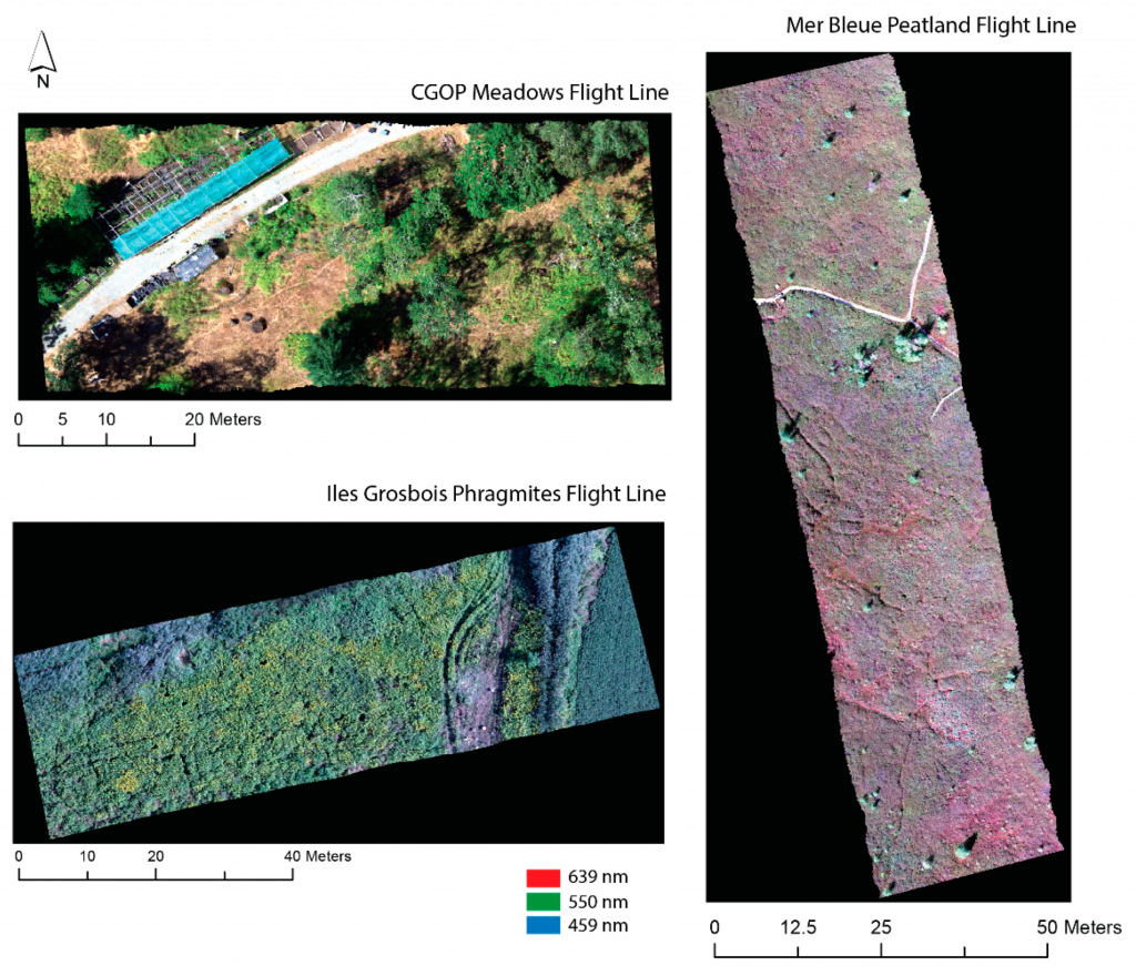 Ultra-high spatial resolution geocorrected hyperspectral images (288 spectral bands) for the study sites from the UAV-μCASI system.