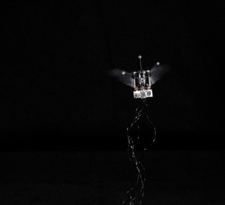 This robotic hummingbird flies on its own while tethered to an energy source, but will soon be powered on batteries. Credit. Purdue University video/Bio-Robotics Lab