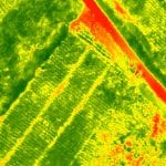Multisprectral aerial image of the farm field. Green areas signify better plant health