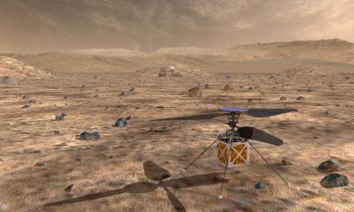 An artist’s illustration of the robotic 'copter that could travel on the Mars2020 mission | NASA/JPL-Caltech
