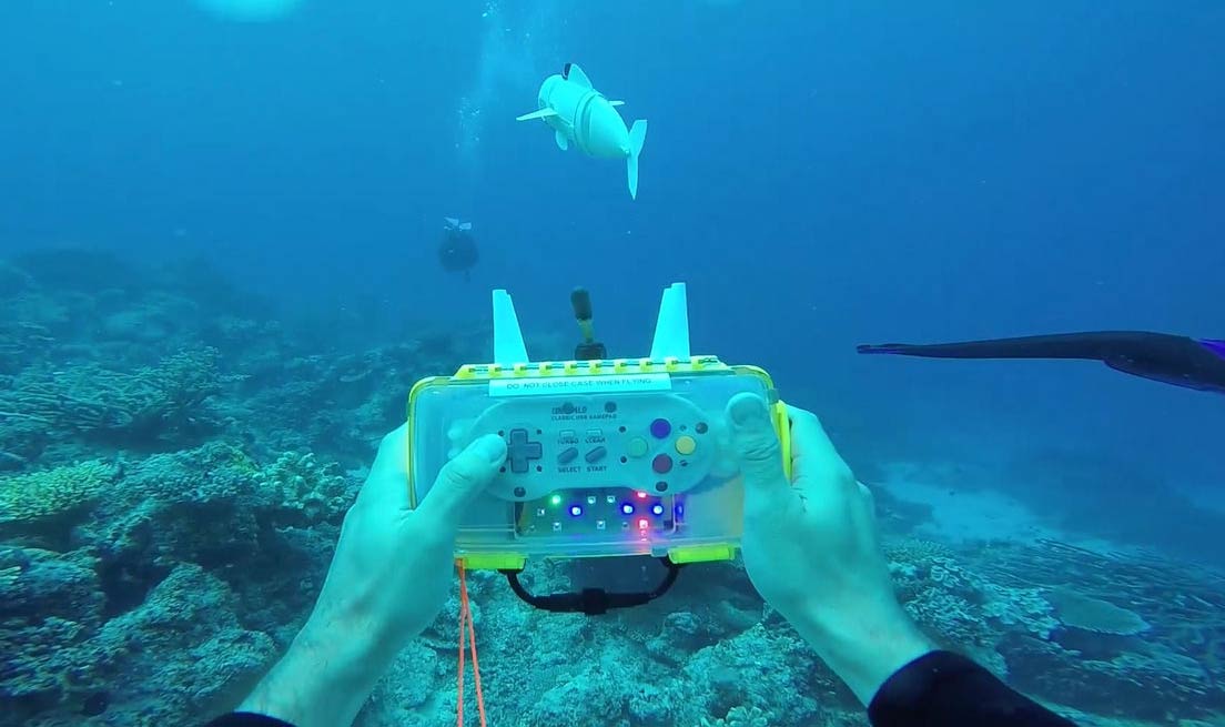 MIT CSAIL's robotic fish can swim with real fish