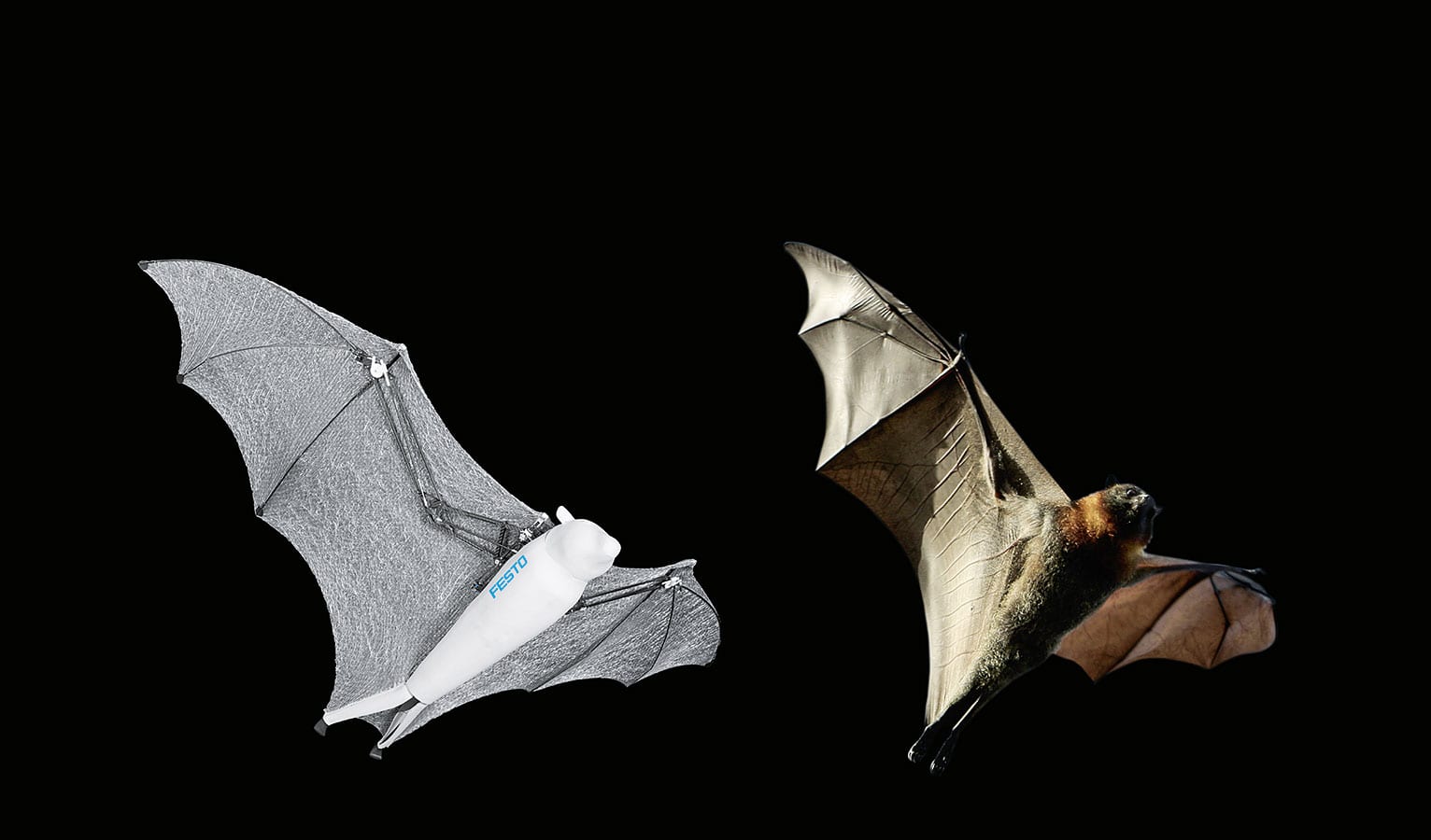 Bionic Flying Bat