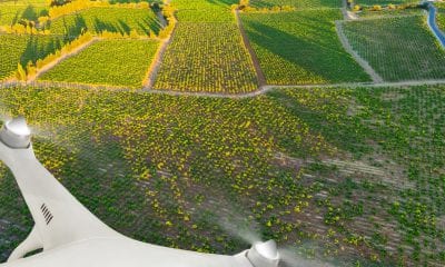 A drone flying above a farm