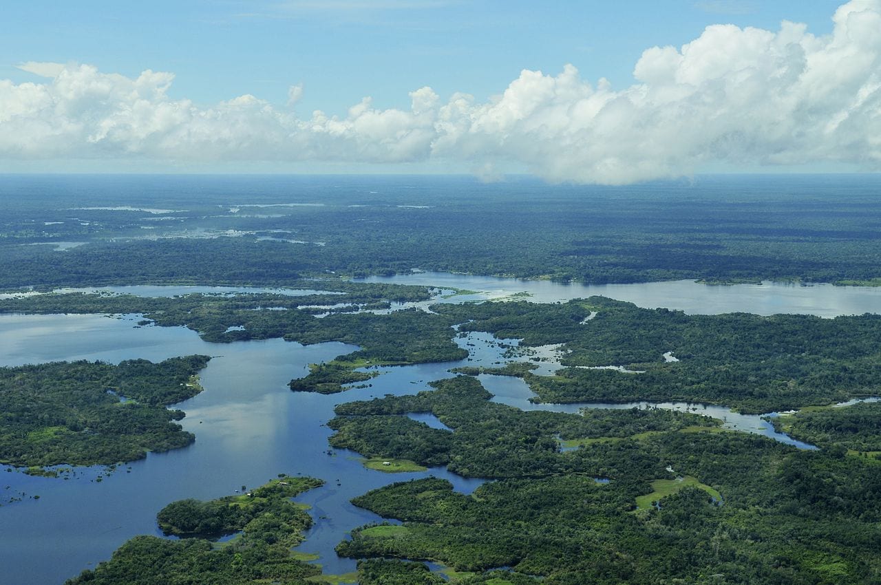 Aerial view of the Amazon Rainforest, near Manaus, the capital of the Brazilian state | Credit: Neil Palmer