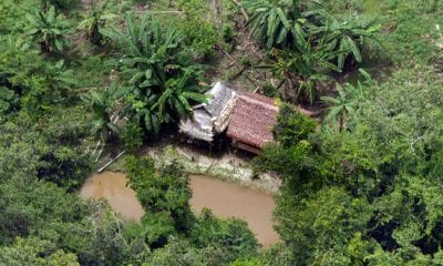 A cocaine lab in a rainforest. Credit: Valter Campanato
