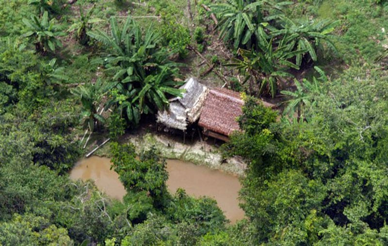 A cocaine lab in a rainforest. Credit: Valter Campanato