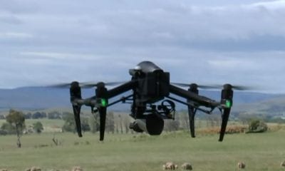 'Lambulance' drones used to check animal health during lambing season | ABC News