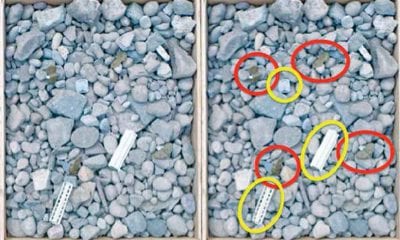 Trials 1 and 2, photogrammetry of cobble environment with PFM-1 landmines circled in red and the KSF-1 cassette casing elements circled in yellow in the second image.