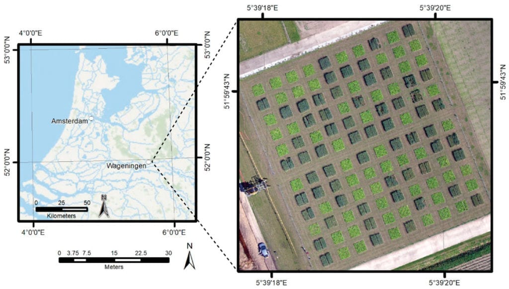 Study area near Wageningen; an orthophoto mosaic of 1 July 2015 displayed in a true colour composite. Both maps are projected in WGS 84/UTM zone 31N. In the image on the right the light green squares are plots with endive, the darker green squares are plots with oat.