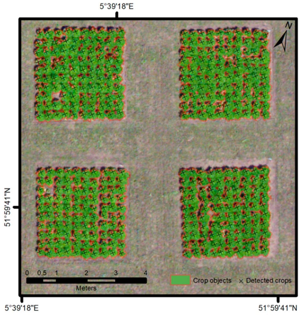 Map showing four experimental plots including multi-resolution image segmentation (MIRS) based vector objects representing main crop area (shown with 60% transparency) and detected Cichorium endivia crops resulting from stratified template matching.