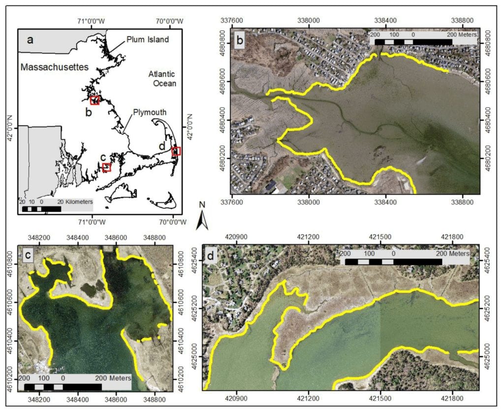 Figure 1. (a) Coastal Massachusetts, (b) Broad Meadows Marsh in Quincy, (c) Brant Island Cove in Buzzards Bay, (d) Pleasant Bay in Orleans. Yellow line in (b–d) shows marsh scarp from marsh edge from elevation data (MEED) using lidar data. Imagery from the U.S. Geological Survey (USGS).