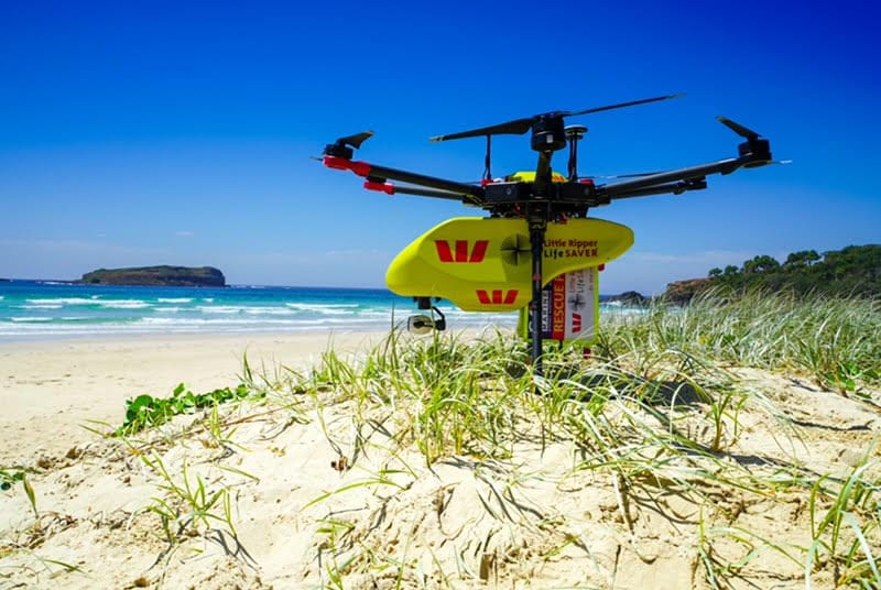 AI-Enabled Drones for Shark and Crocodile Spotting